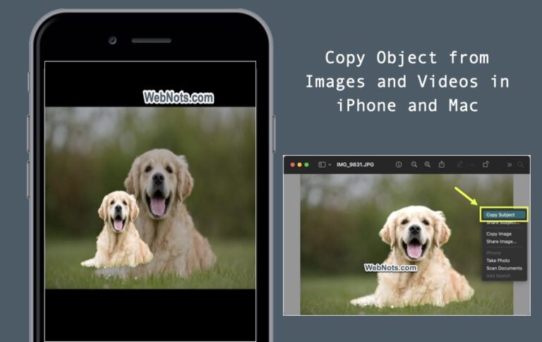 Как скопировать объект с изображения и видео на iPhone и Mac?  –